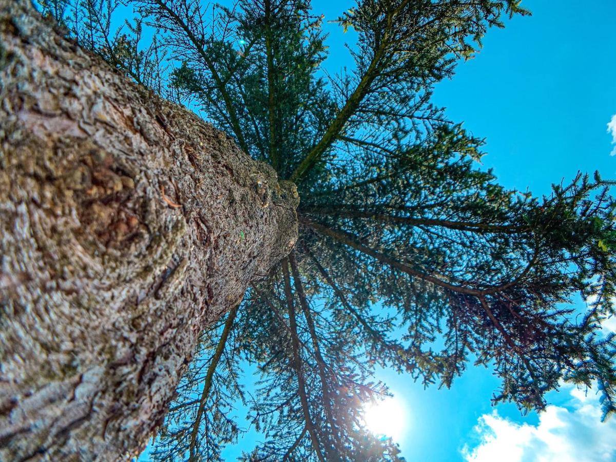 Penzion U Křížku Vejprty Exteriér fotografie